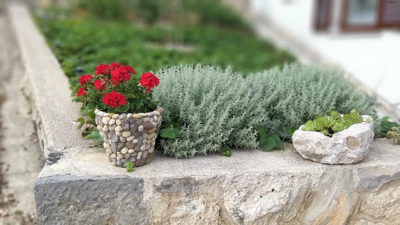 Apartmani Ante Jasenice (Zadar) Exterior foto